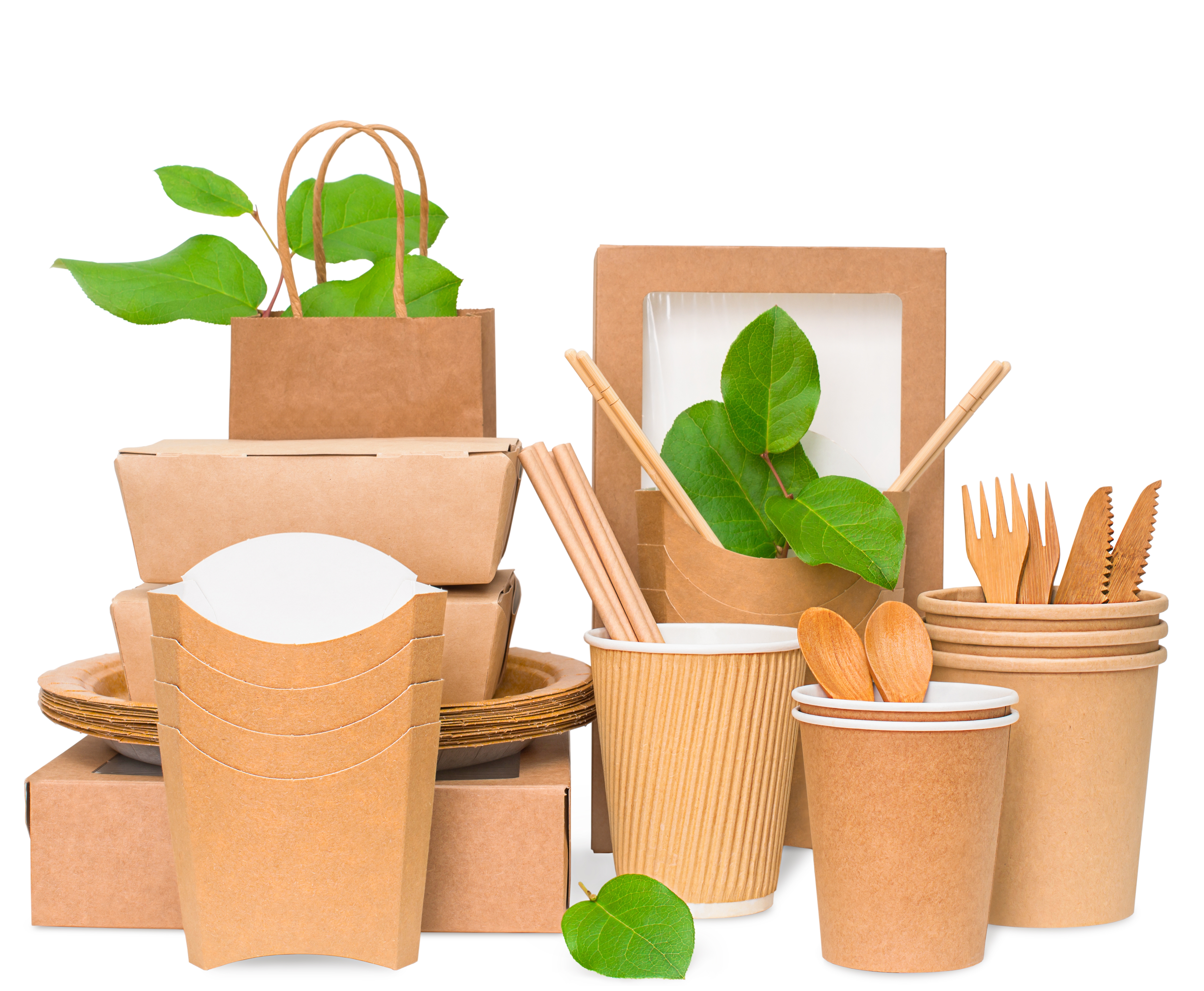 Enhancing Safety and Sustainability: The Paper Industry’s Role in the Food and Beverage Sector