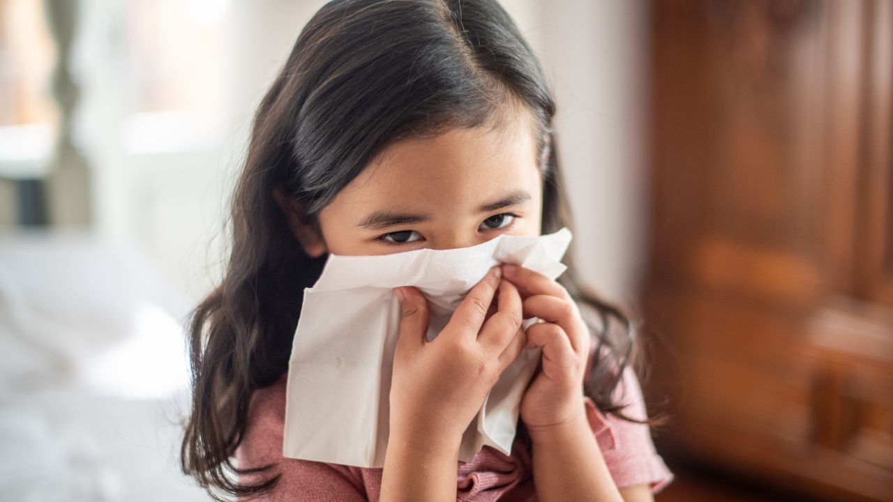 Ensuring Health and Hygiene: The Paper Industry’s Vital Role in Everyday Life